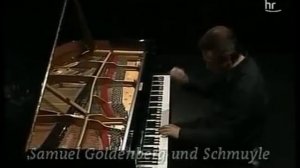 Модест Мусоргский. Картинки с выставки. Исполняет Михаил Плетнев