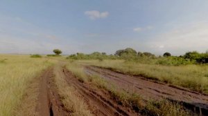 Gamedrive in Queen Elizabeth National Park Uganda 360°