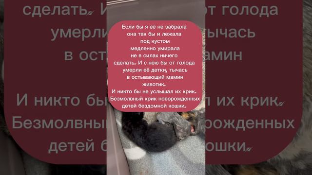 Анютины глазки❤️ смотреть онлайн
