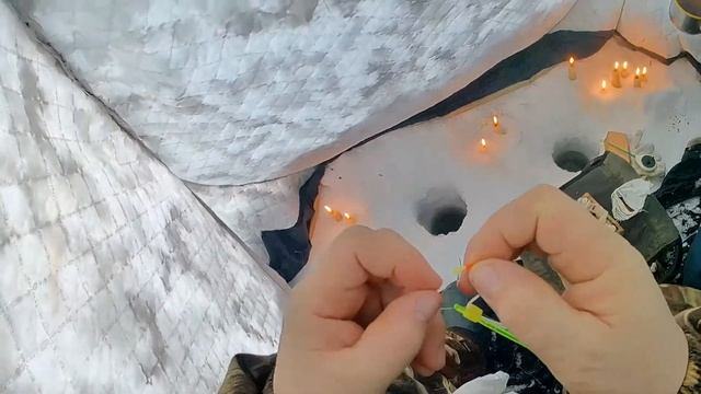 Супер клёв ЕЛЬЦА