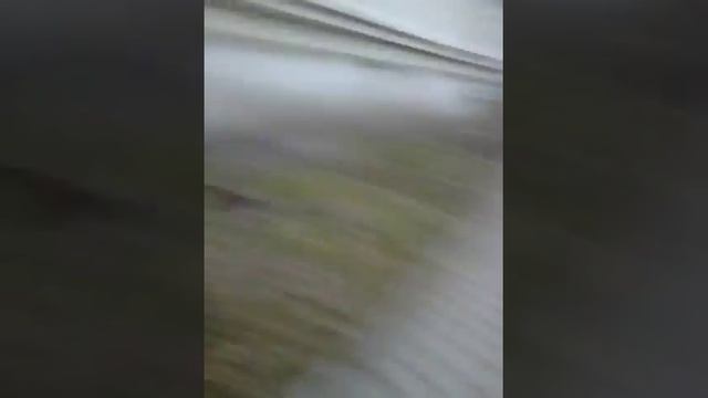 Играем со школотой в казаки-разбойники смотреть онлайн