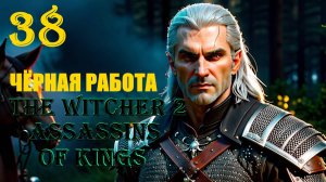 ВЕДЬМАК И ЧЁРНАЯ РАБОТА - THE WITCHER 2 ASSASSINS OF KINGS - ПРОХОЖДЕНИЕ НА 100 ПРОЦЕНТОВ #38