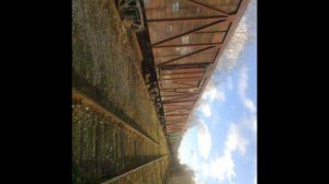 елань 2011-2012