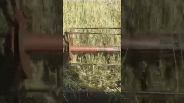 Поздравления 1.500 подписчиков! Фрагменты из уборочной 2019 смотреть онлайн