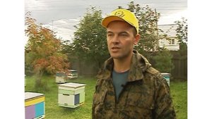 ТРУТНЕВЫЙ ГОМОГЕНАТ: лечебные свойства и применение / СОВЕТЫ ПАСЕЧНИКА АЛЕКСЕЯ МАТЮШКИНА ?? / МЁДВЕ