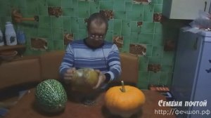 Хранение тыквы  Семена лагенарии для прививк