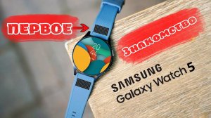 Первое знакомство с Glalaxy Watch 5 и Glalaxy Watch 5 PRO