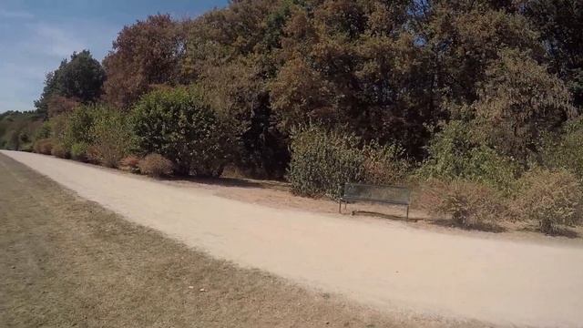 В Германии засуха 04.08.2018 смотреть онлайн