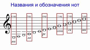 Нотная грамота. Урок 1. Учим ноты на гитаре
