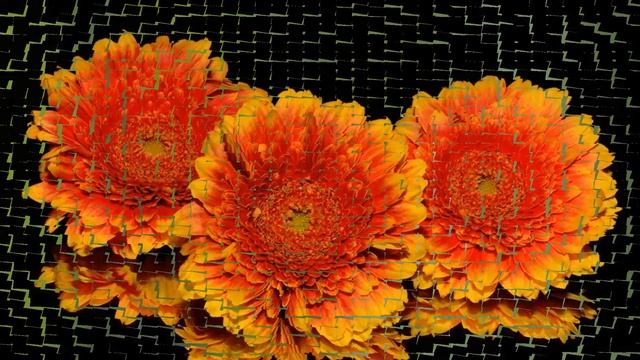 Florin Stefan - Cand stiu ca toate aici sunt trecatoare смотреть онлайн