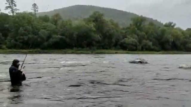 Рыбалка на горной реке Анюй смотреть онлайн