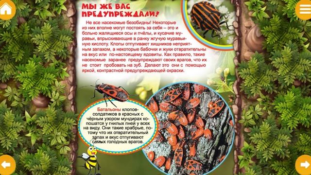 ЭНЦИКЛОПЕДИЯ  НАСЕКОМЫЕ #4