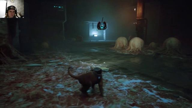 Та самая  игра про кота STRAY Прохождение # 8 Канализация смотреть онлайн