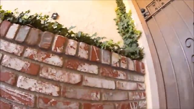 Что делает кот пока вас нет дома смотреть онлайн