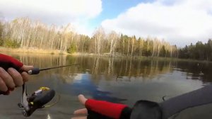 01.11.16 Ловля щуки на воблеры осенью.Десногорск
