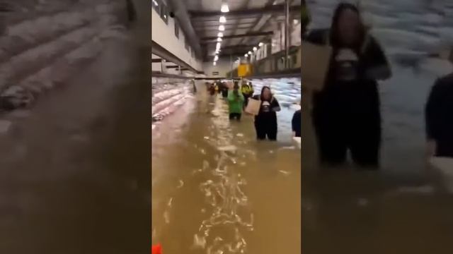 Несмотря на наводнение, супермаркеты в Нью-Йорке продолжали работать