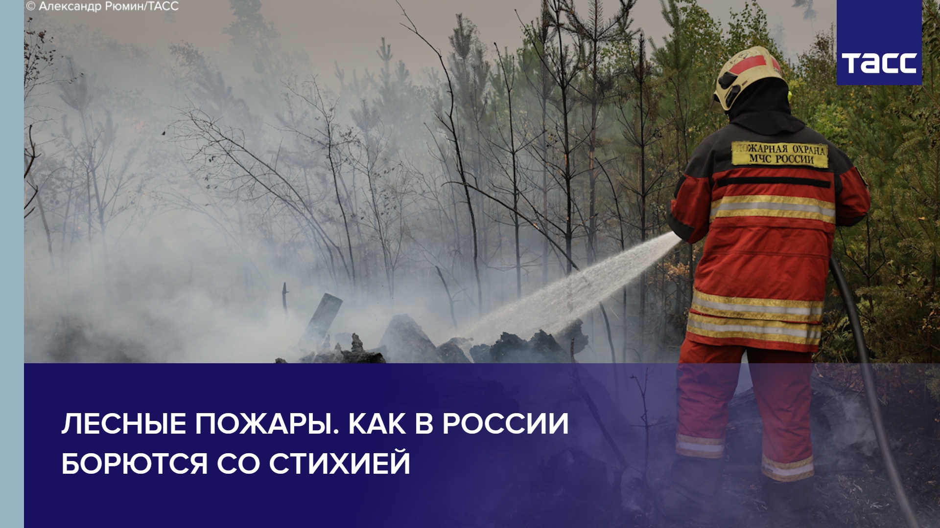 Лесные пожары. Как в России борются со стихией