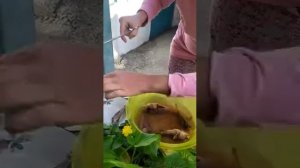 Скорпена. Как почистить скорпену.
