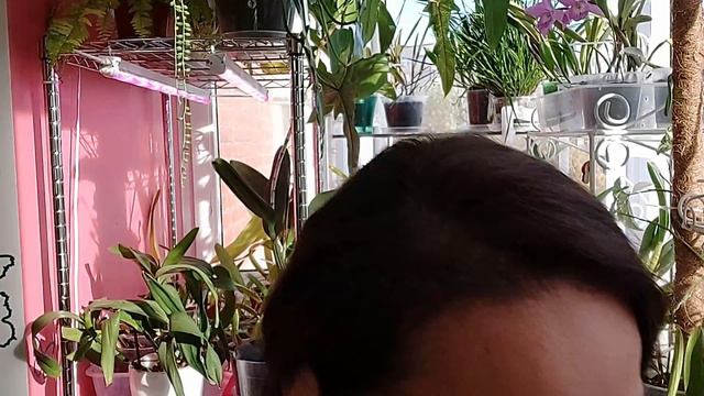 Бомбануло! Размер деток. смотреть онлайн