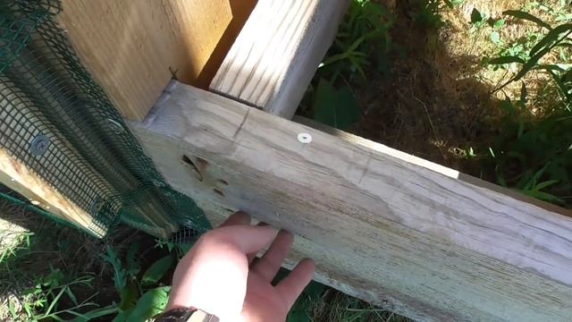 Наружная отделка папиного дома. День 2. Ответы на вопросы. смотреть онлайн