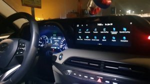 Рксификация Hyundai Palisade LX2.KOR. Отзыв #6