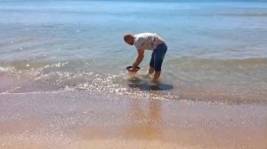 Золото Черного Моря. The Gold Of The Black Sea