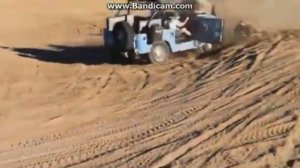 Прыжок в кактус и визг