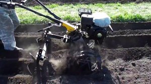 Посадка картофеля мотоблоком ДВОЙНЫМ ОКУЧНИКОМ. mp4
