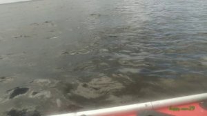 Рыбалка троллингом  в июльскую жару в преддверии Дня рыбака. Часть 1.