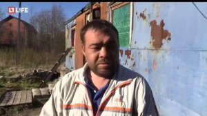 Гусю шею сломал