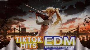 Violin Cover Top EDM TikTok Songs 2023 #16