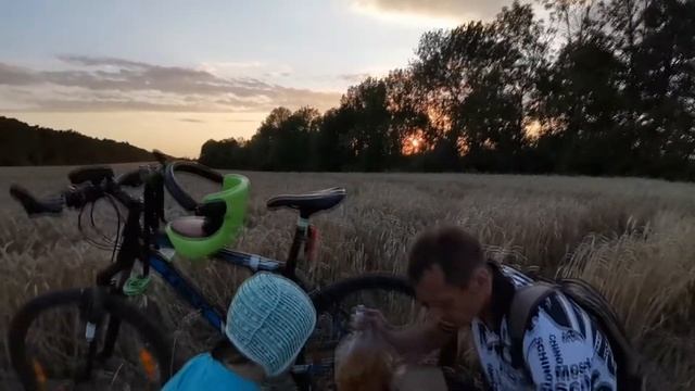 Острогожск / х. Труд / Лесное Уколово / Волошино / Острогожск - 22/07/2020 ??? смотреть онлайн