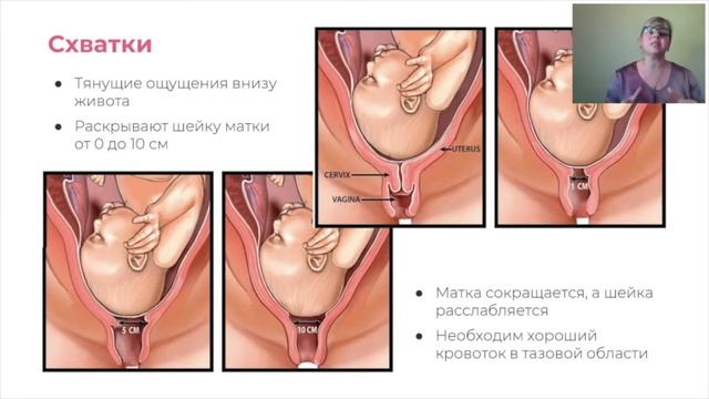 Что такое схватки и как повысить их эффективность