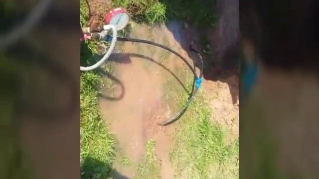 Абиссинки от водоворота смотреть онлайн