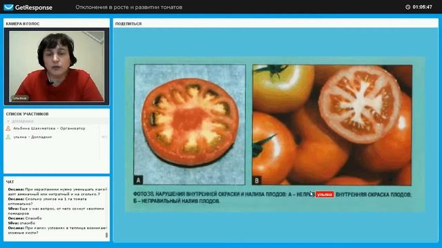 Нарушение окраски плодов томатов - часть 1 смотреть онлайн