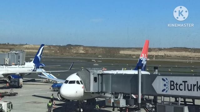 ФлоридаЯлта.Сплошное разочарование,все не так.Мало зеркал,никуда не хочет,ноги стерты в кровь смотреть онлайн