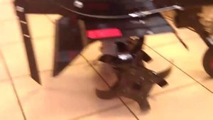 Презентация Мотокультиватора  Земляк типа КРОТ от компании КРАСНАЯ ЗВЕЗДА