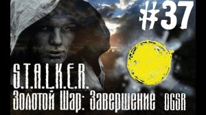 S.T.A.L.K.E.R. Золотой шар. Завершение OGSR Припять #37.