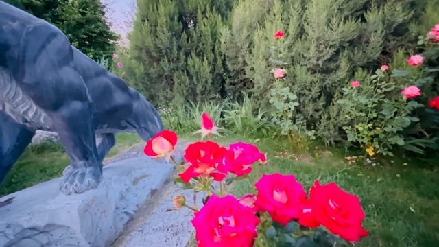 И снова о Белогорской прокуратуре и письмах «ВОЛШЕБНЫХ ЛЮДЕЙ»! смотреть онлайн