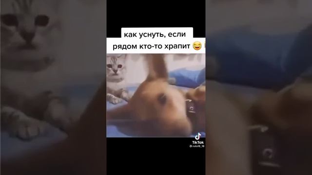 Как уснуть если кто-то рядом храпит ???