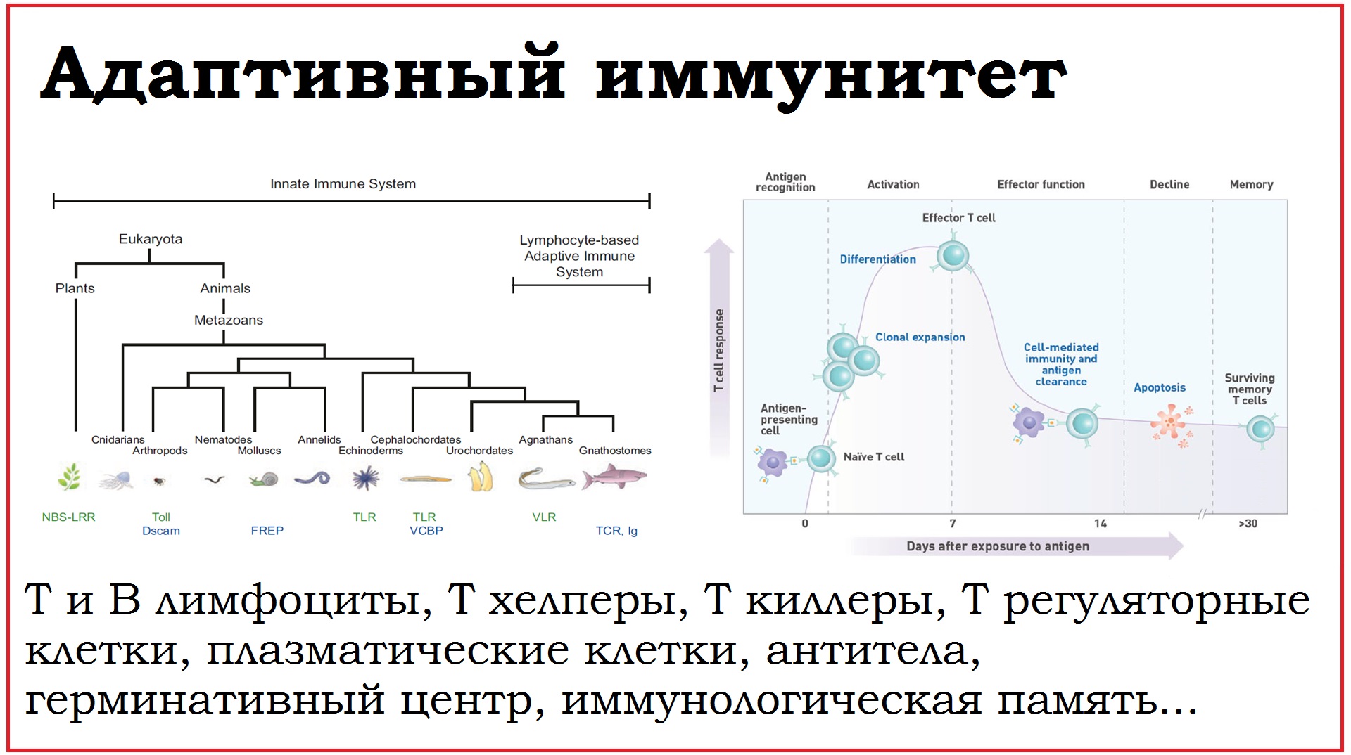 фанфик странный иммунитет на меня фото 98