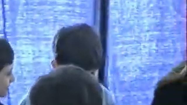 Dvoskin Vladimir-Чебоксары-1996 год-1 смотреть онлайн