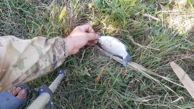 Рыбалка в Дагестане На Канале ?Хороший День Для Рыбалки? смотреть онлайн