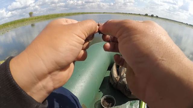 Приехал за ХИЩНИКОМ, а попал на РАЗДАЧУ БЕЛИ!!! Рыбалка на красивом озере Богородицкое.