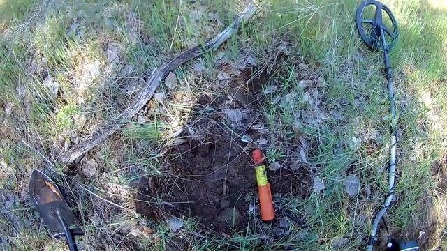 После таких находок долго не мог уснуть!Лесное место-снова поиск с металлоискателем Rutus Alter!