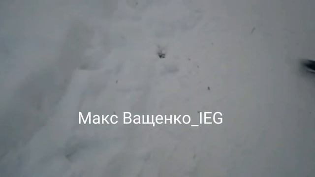 ЭДИТ МАКС ВАЩЕНКО РАЗБИЛ ТЕЛЕФОН ШКОЛЬНИКУ! смотреть онлайн