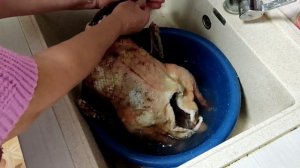 Вяленый Гусь, самый вкусный.