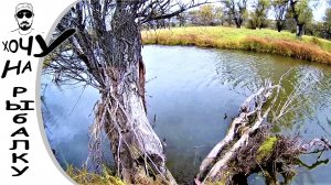 Попытка закрыть сезон. Щука на воблеры. Осенняя рыбалка.