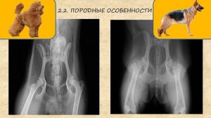 АНАЛИЗ РЕНТГЕНОГРАММ: 3 ПРИНЦИПА