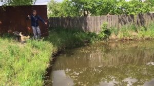 Сколько РЫБЫ СЪЕСТ этот РЫЖИЙ КОТ?! Рыбалка на СВОЁМ ПРУДУ